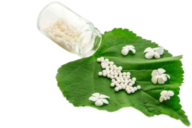 06c6306c155365dd24a84022ed4c2b04