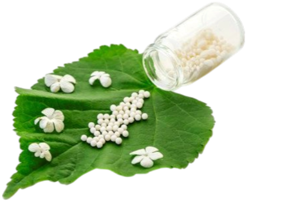 06c6306c155365dd24a84022ed4c2b04